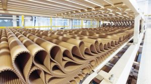 Closeup_image_of_pleat_cardboard_row_at_factory_background.