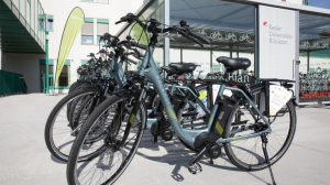Stabile Preise und mehr Vielfalt für die E-Bike-Flotte