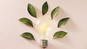 Eco_green_energy_concept_bulb,_lightbulb_leaves_on_pink_background.