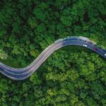 Forest_Road,_Aerial_view_over_tropical_tree_forest_with_a_road_going_through_with_car.