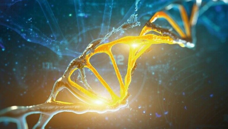 Agilität als Bestandteil der Einkaufs-DNA