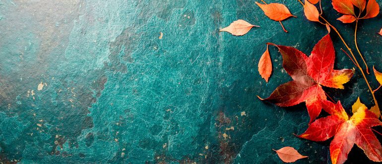 Autumn_background_with_colored_red_leaves_on_blue_slate_background._Top_view,_copy_space.